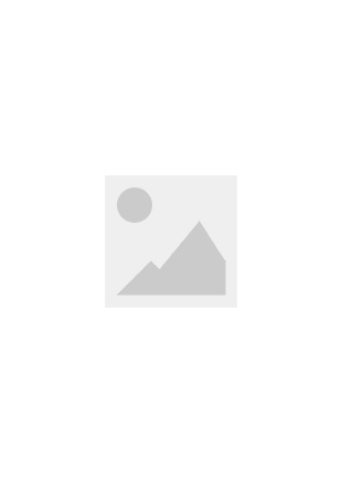 Toyota Fluorescent Powder+Application Patent Authorization